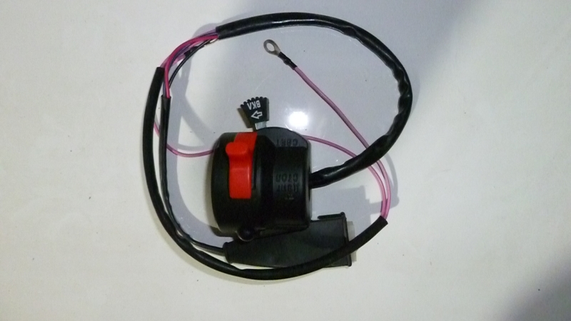 P1010544.JPG