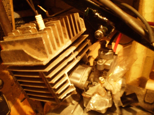 P4160027.JPG