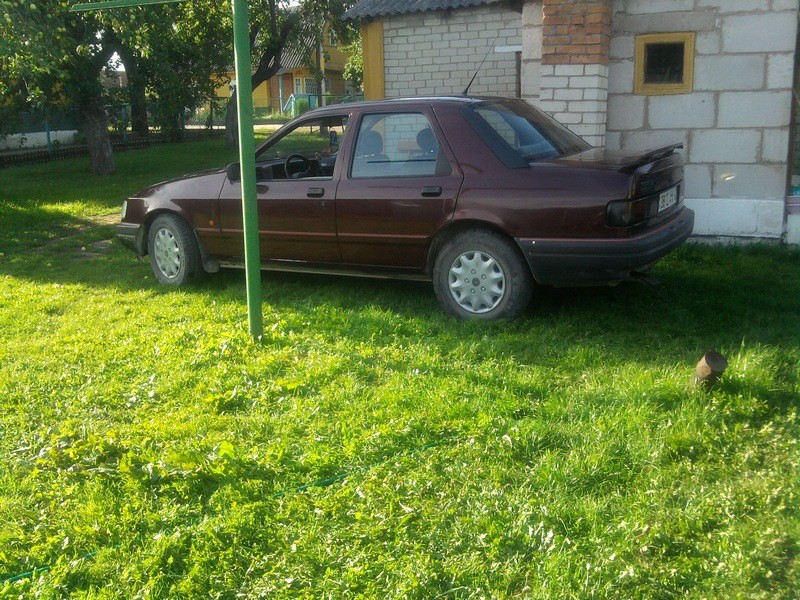 SNC00078.jpg
